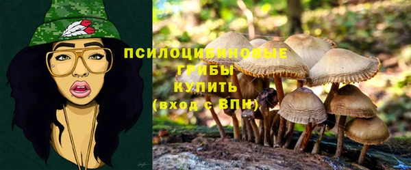 дживик Осинники