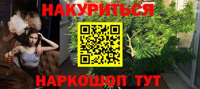 крисы Аргун