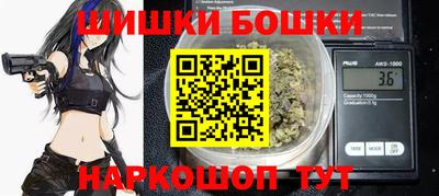 крисы Аргун