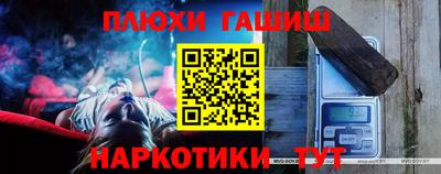 крисы Аргун